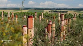 Clay towers amid vineyard