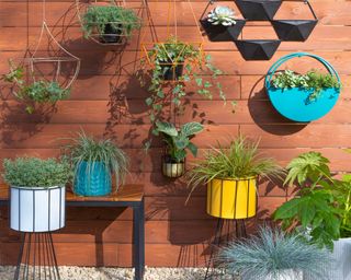 roost episode 2-a-small-patio-with-wall-planters-and-pots-Pic-credit-Dunelm.jpg