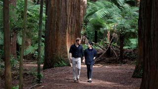 Prince Harry, Duke of Sussex and Meghan, Duchess of Sussex visit Redwoods Tree Walk on October 31, 2018 in Rotorua, New Zealand. The Duke and Duchess of Sussex are on the final day of their official 16-day Autumn tour visiting cities in Australia, Fiji, Tonga and New Zealand. (Photo by Kirsty Wigglesworth - Pool/Getty Images)
