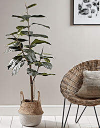 Faux Potted Rubber Plant | Was £125, Now £81