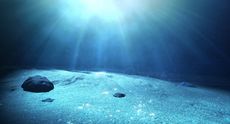 The ocean floor.