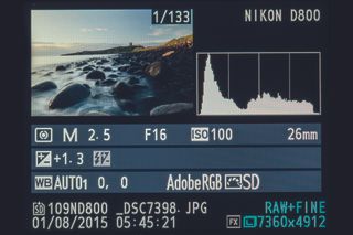 Pay attention to the histogram – it's a great guide for assessing dynamic range