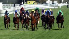 Ascot races