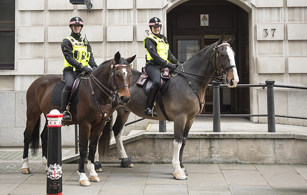 Typically the horses work six days in the city before making the 90-minute journey to Bushy Park, on the outskirts of London, for some R&R