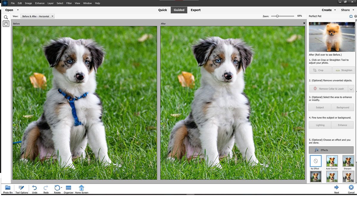 Adobe Photoshop Elements 2022 Review | Space