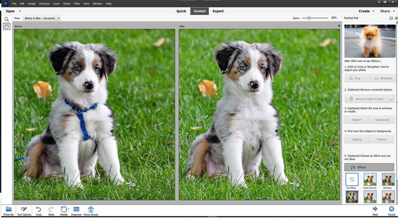 Photoshop Elements 2022