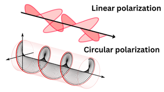 Linear polarization vs circular polarization. The linear diagram shows light moving in a plane while the circular diagram shows light moving in a sort of spiral format.