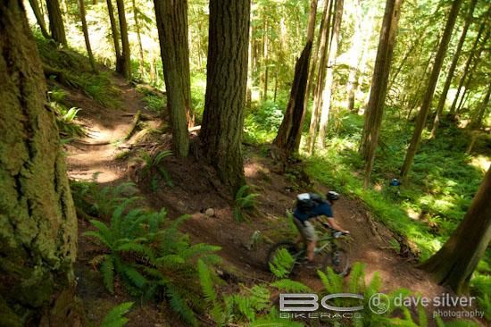 A rider rounds a corner lined with ferns.
