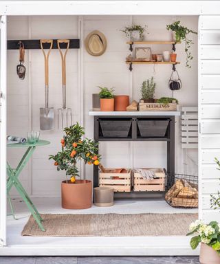 interior of modern white shed with tools and herbs