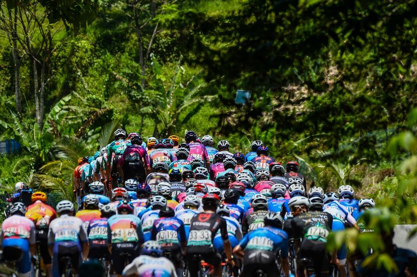 The peloton of the 2025 Petronas Le Tour de Langkawi on stage 5
