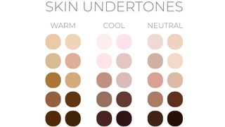 a collage showing the different skin undertones for foundation shades
