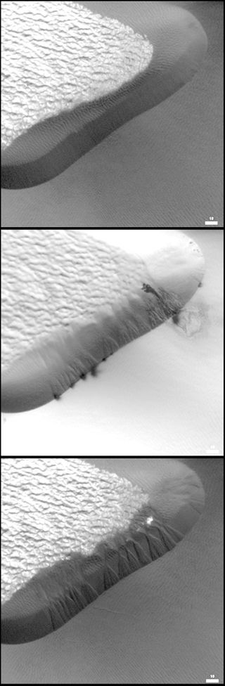 A comparison between a set of avalanches on a Martian dune and avalanches on a sand dune in Namibia. The Mars scale bar is 50 meters, indicating that the avalanches are all about 10 meters across, and the Namibia avalanches are about 30 centimeters wide, so the martian avalanches are about 30 times larger. Image added June 19, 2012.