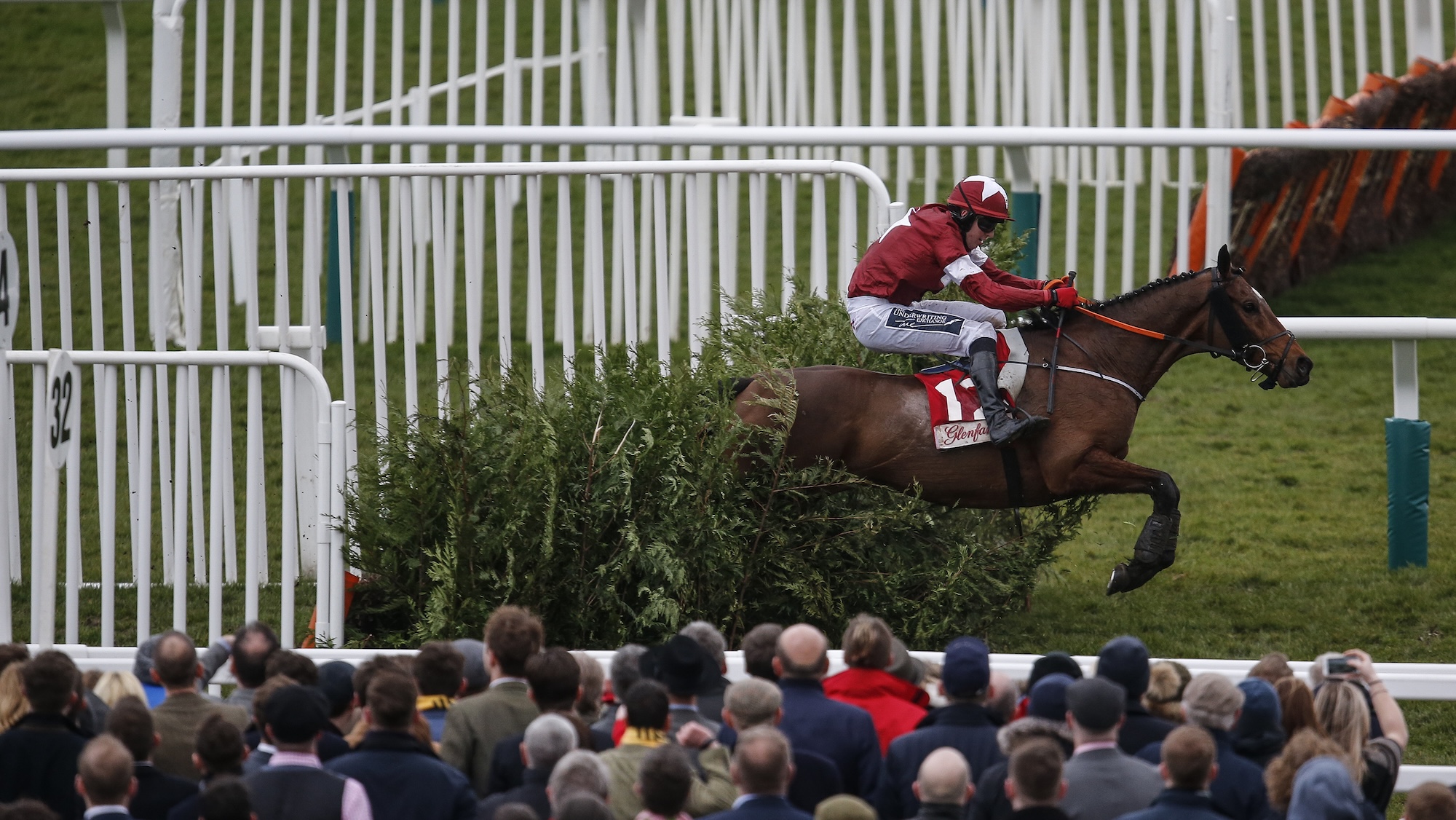 Tiger Roll wins the cross country chase at Cheltenham in 2018