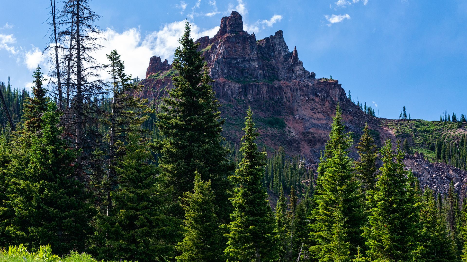 Colorado search and rescue team save stranded hiker without leaving the ...