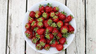 5 challenges of seniors living alone, and how to solve them: an image showing a bowl of fresh strawberries