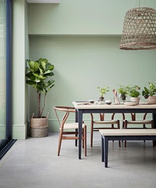 Large dining room space with light green painted walls, gray concrete flooring, woven brown pendant light hanging over table, matching table and bench with black metal frame and light wood tabletop and seat, dark wood carl hansen wishbone chair, large plant in woven basket on floor