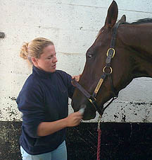 Denman-teeth.jpg