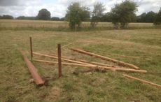 remains-of-shelter-2.jpg