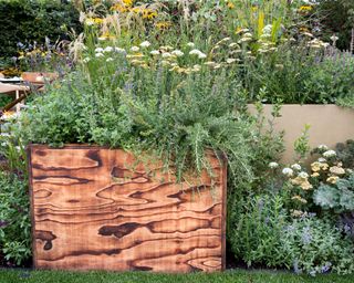 raised bed made from charred timber