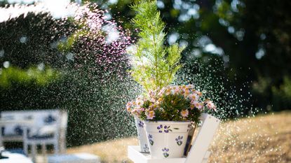 water falling on flowers in a plant pot