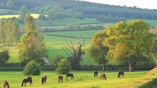 countryside code