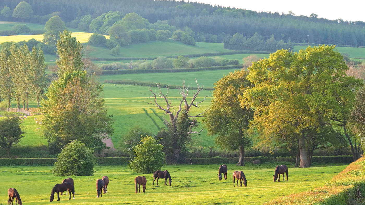 countryside code