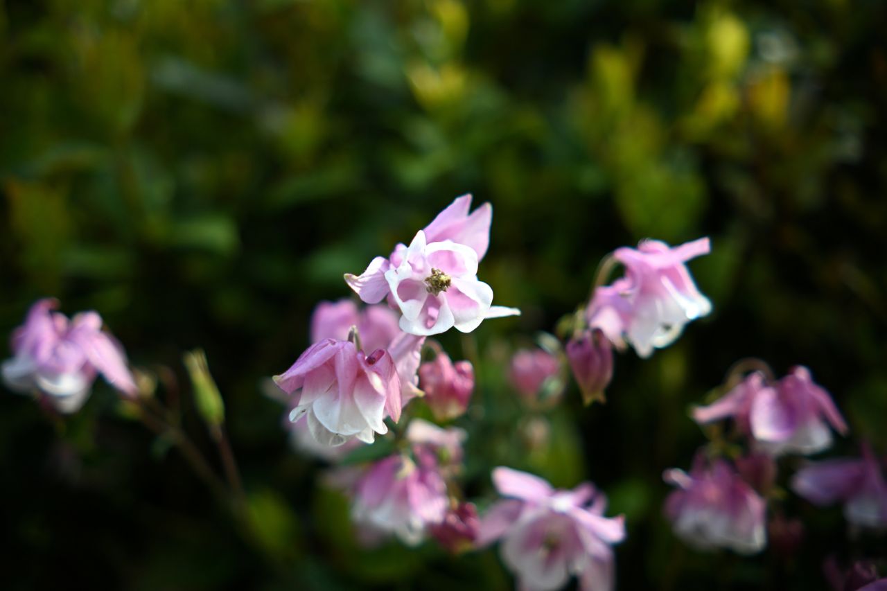 Viltrox AF 23mm F1.4 Z