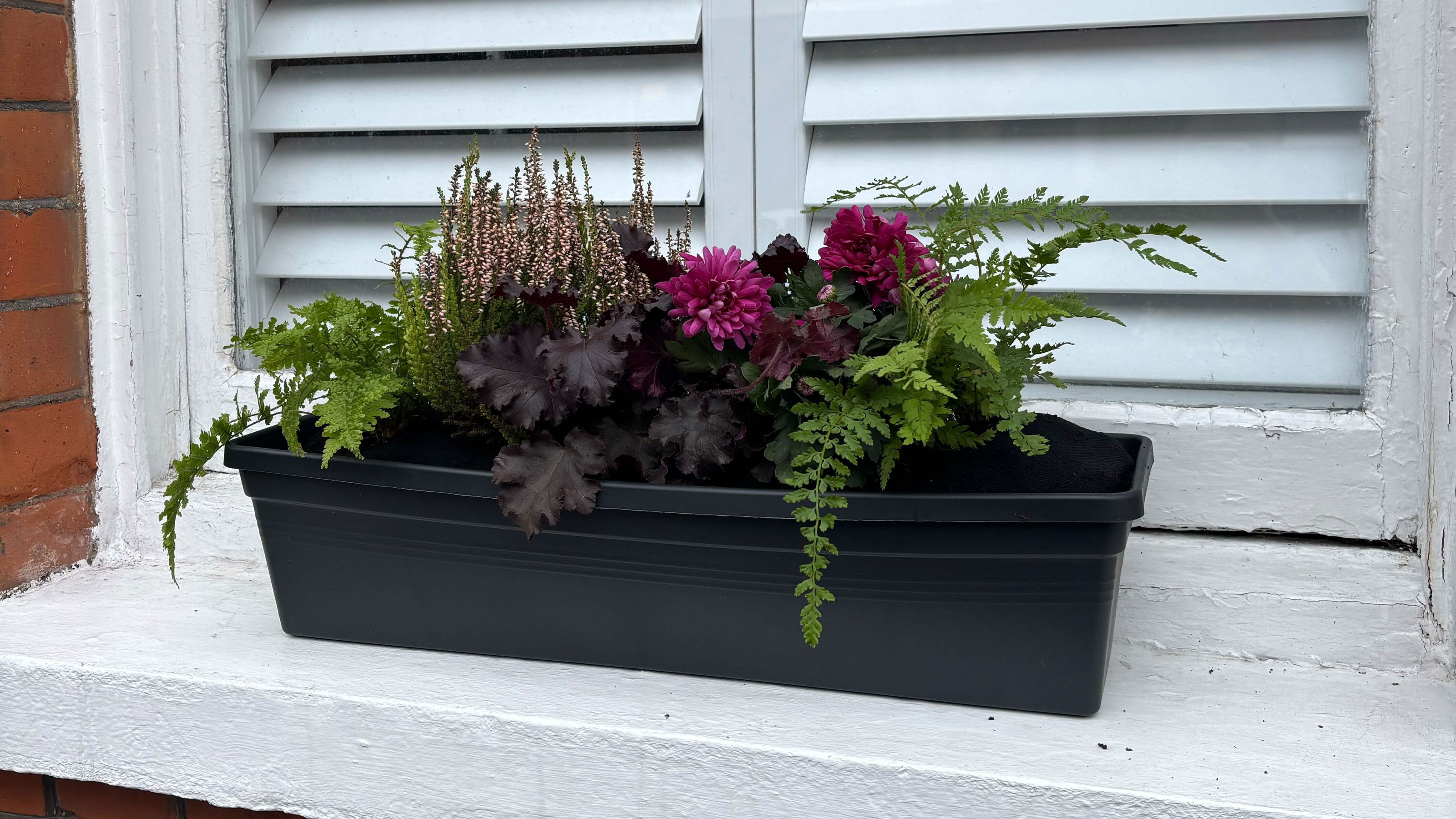 Window box with purple and green plants in