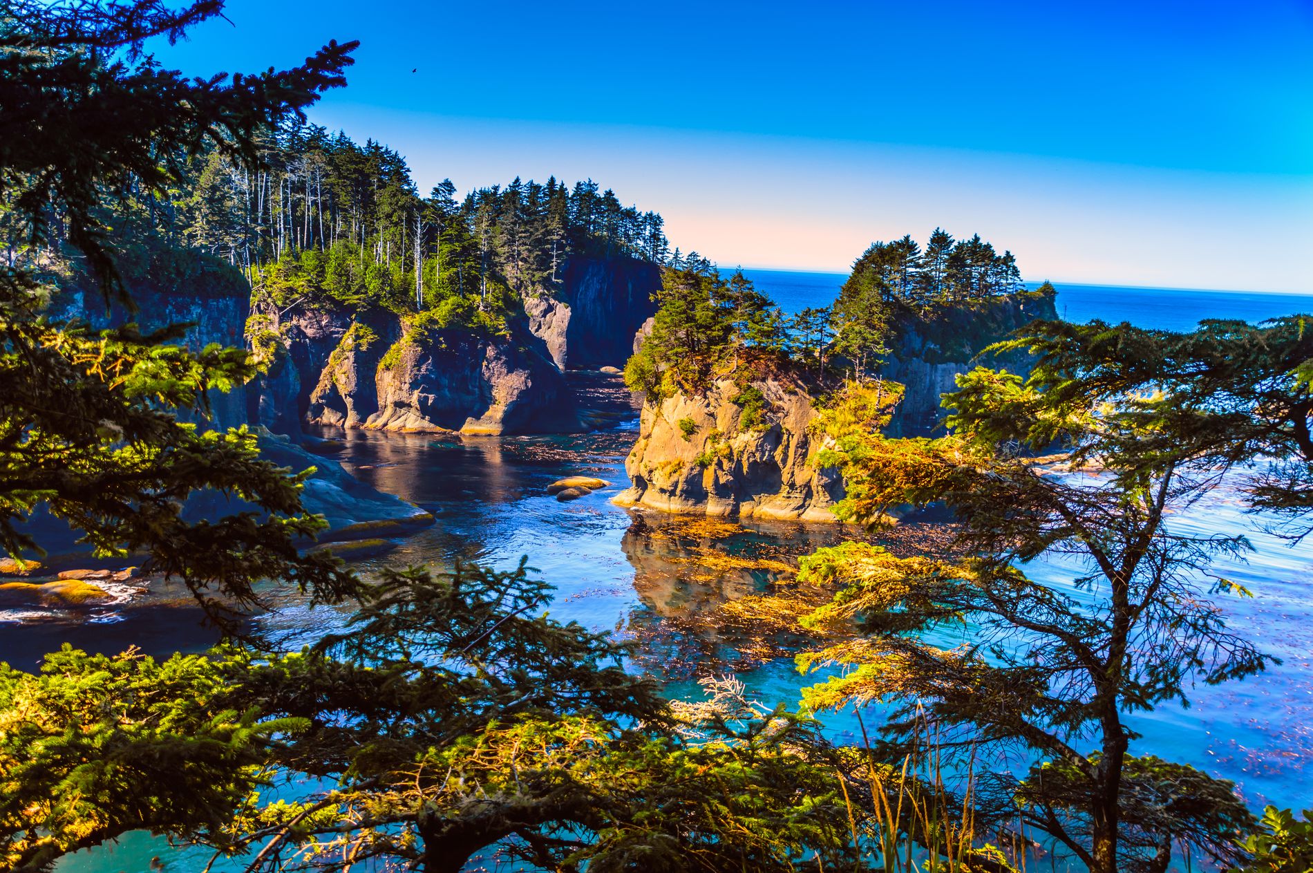 GuruShots - March 2026