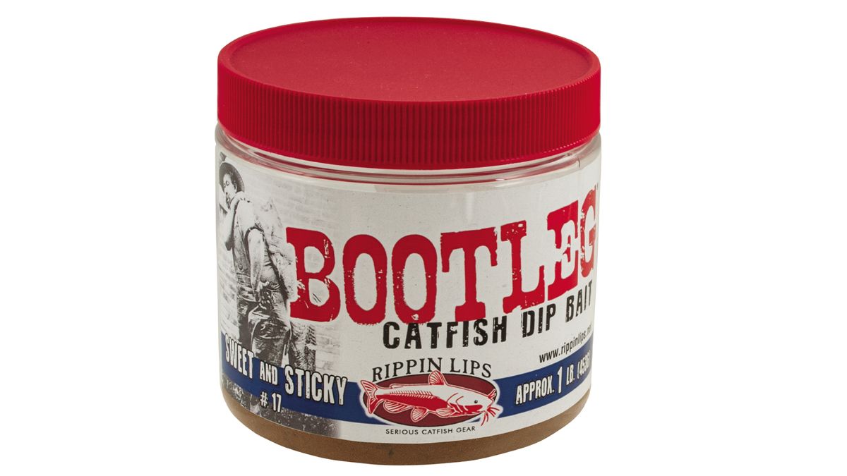 The best catfish bait a guide to selecting champion commercial