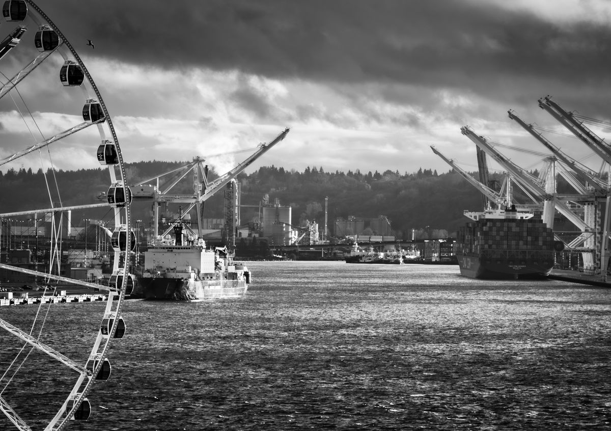 GuruShots - Monochrome Moments Jan 26
