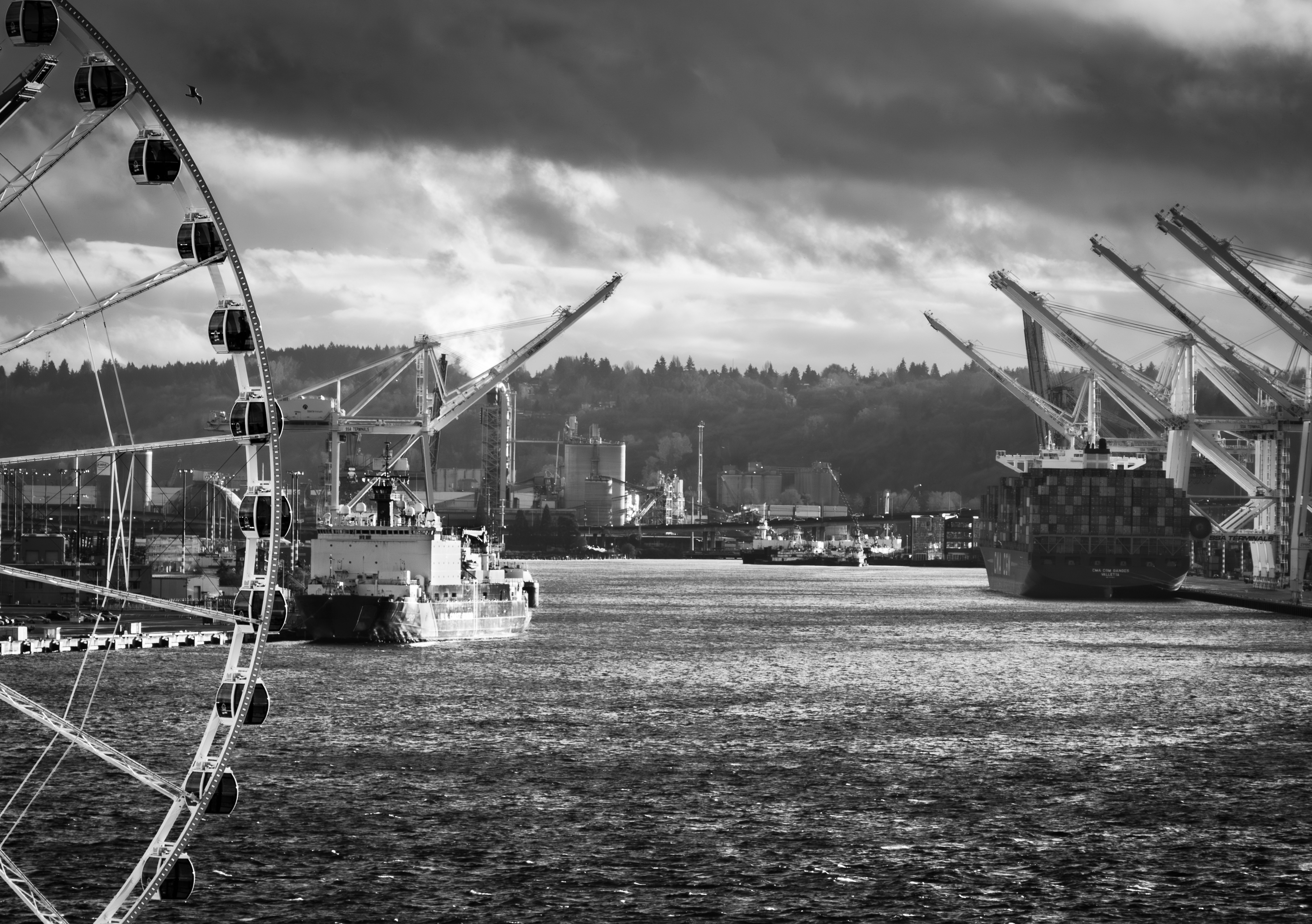 GuruShots - Monochrome Moments Jan 26