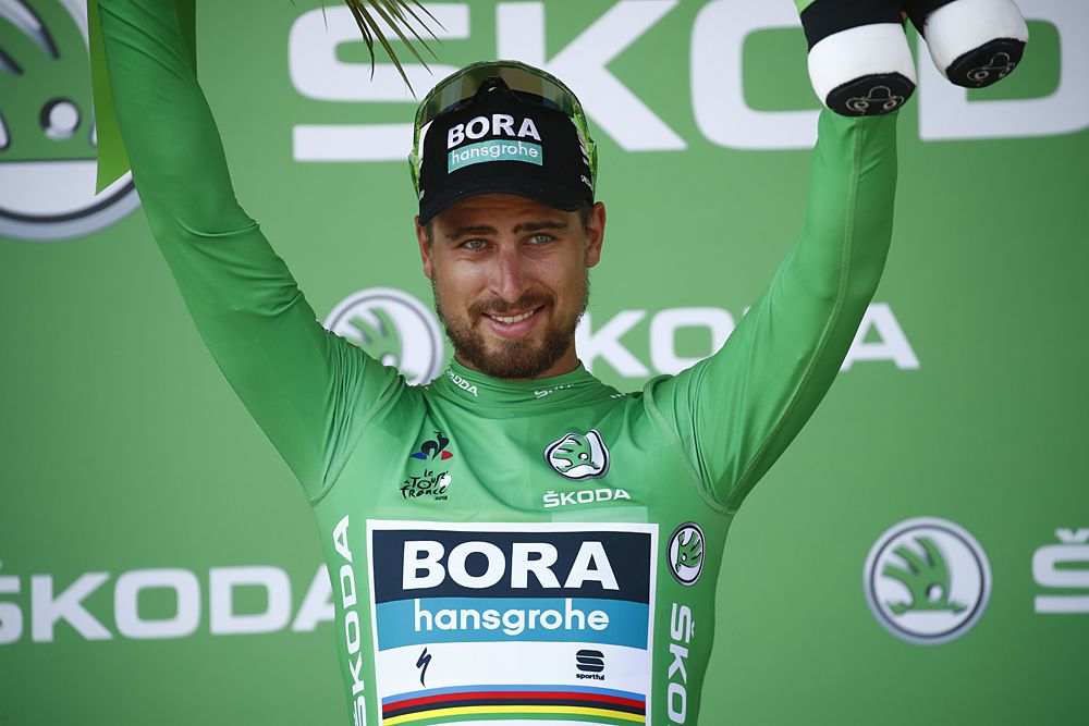 Peter Sagan (Bora-Hansgrohe) won stage 2 at the Tour de France and now leads the overall and the points classifications
