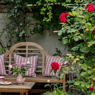 A garden bench in the corner of a garden with red roses growing to the side of it