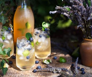 lavender and blueberry fruits in cocktails