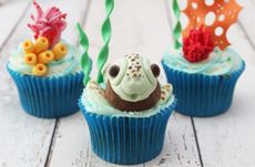 Turtle cupcakes