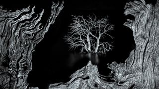 Dead trees on the edge of the Zahara de la Sierra reservoir, southern Spain, photographed at night using a dual focal-length long-exposure technique