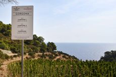 Gorgona-Vineyards-Sign
