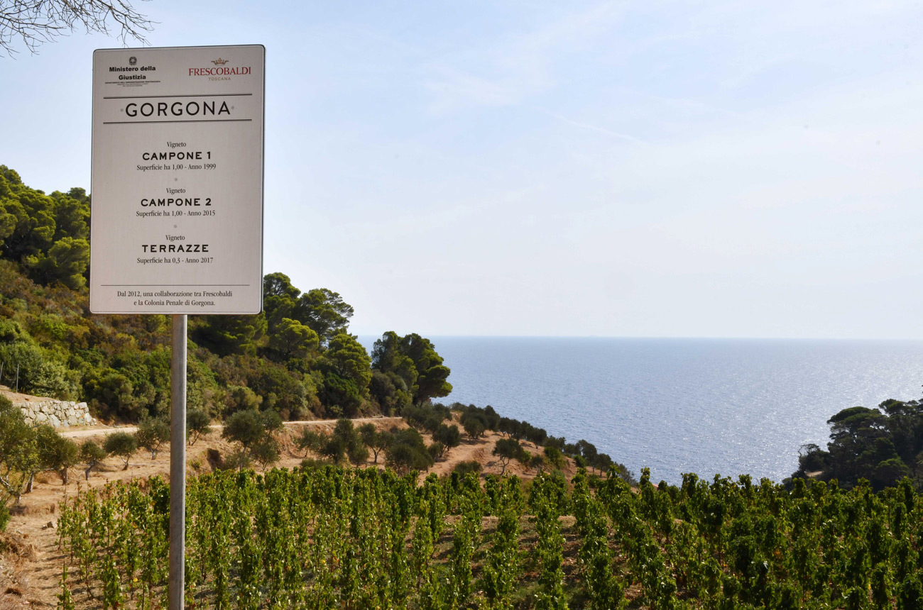 Gorgona-Vineyards-Sign