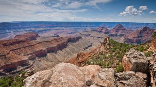 Kaibab Plateau at North Grand Canyon