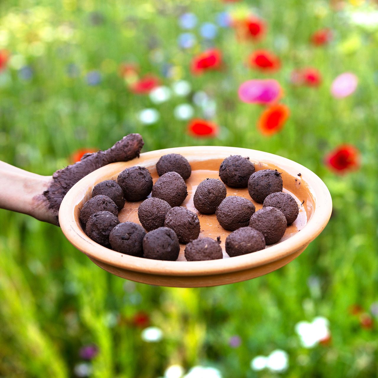 Woman holds plate of seed bombs next to field of wildflowers
