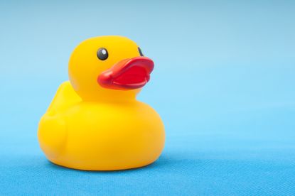 yellow rubber duck against light blue background