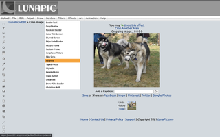 The best online photo editor: Lunapic