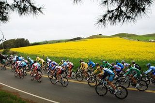The peloton during stage one of the 2008 Tour of California