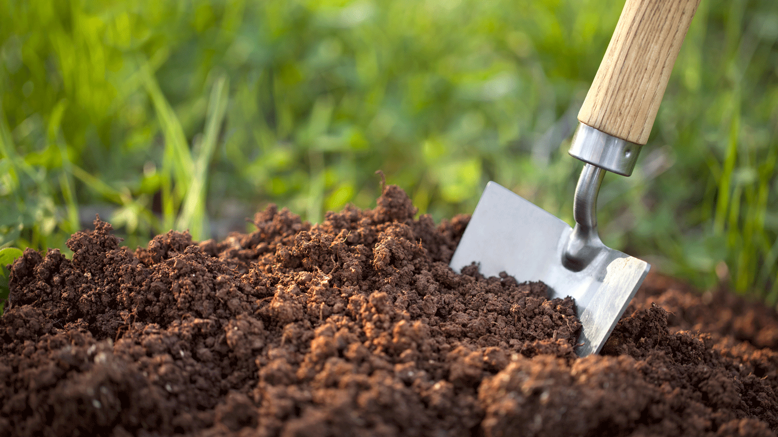trowel digging into soil