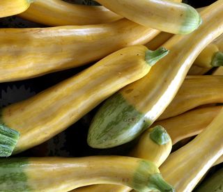 A pile of green and yellow zephyr squash