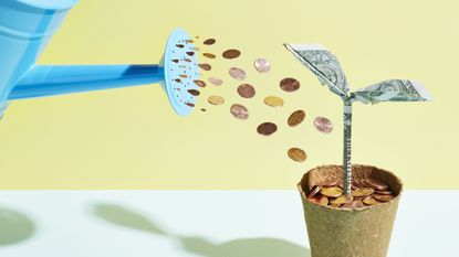 A depiction of watering a money tree with coins. 