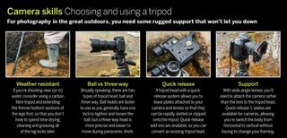 Camera skills for choosing and using a tripod