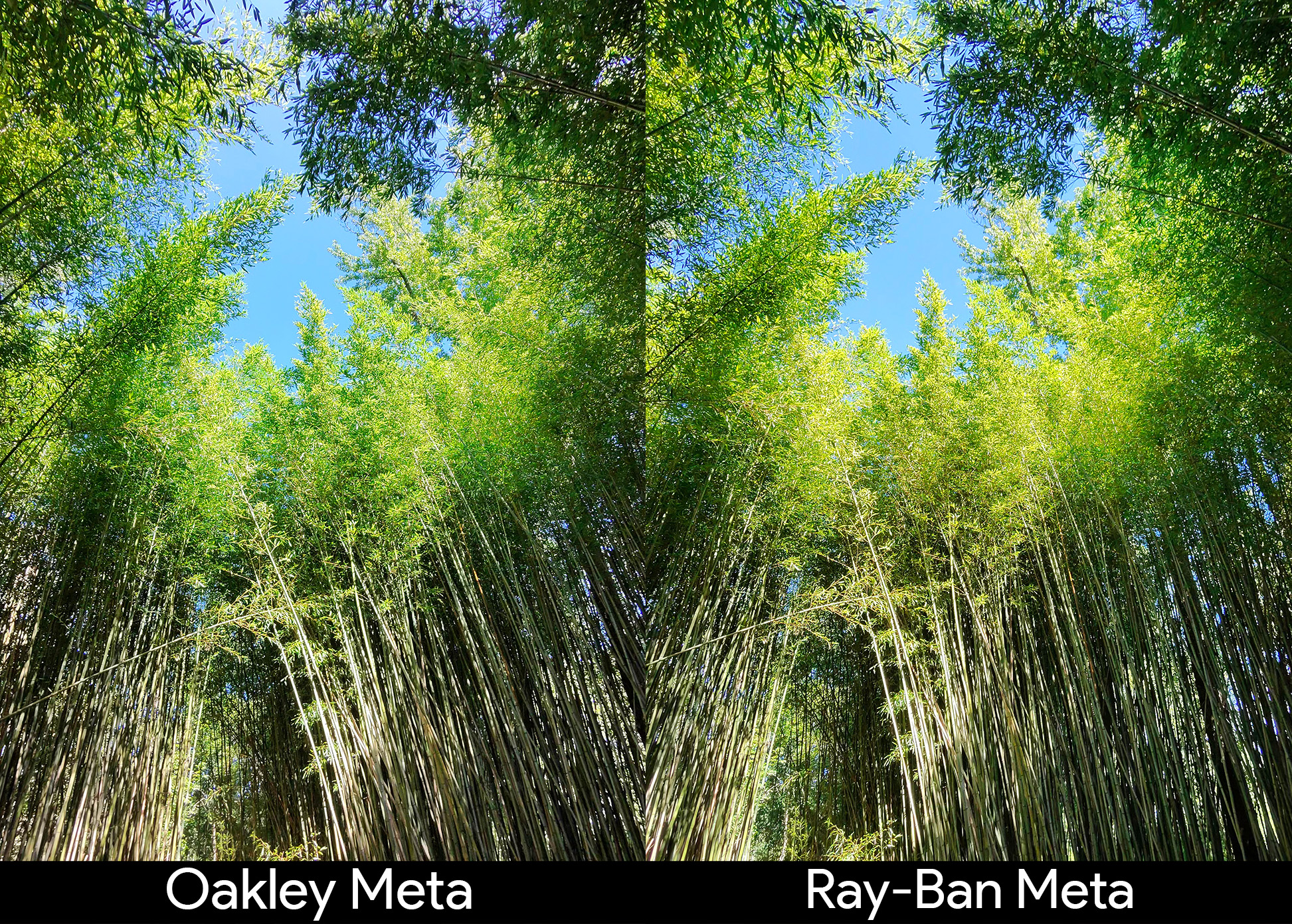 Comparing the picture quality of Oakley Meta HSTN Smart Glasses and Ray-Ban Meta Smart Glasses