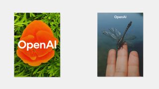 Newly commissioned photography supports the launch of the OpenAI redesign